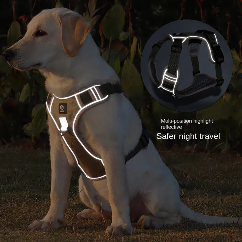 Night Safety Vest Harness