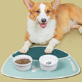 Load image into Gallery viewer, Eco-Friendly High Quality No Stains Quick Dry Cat Dog Water Dispenser Carpet Pet Feeding Mat
