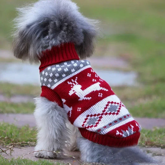 Chihuahua Cartoon Pet Sweater Apparel