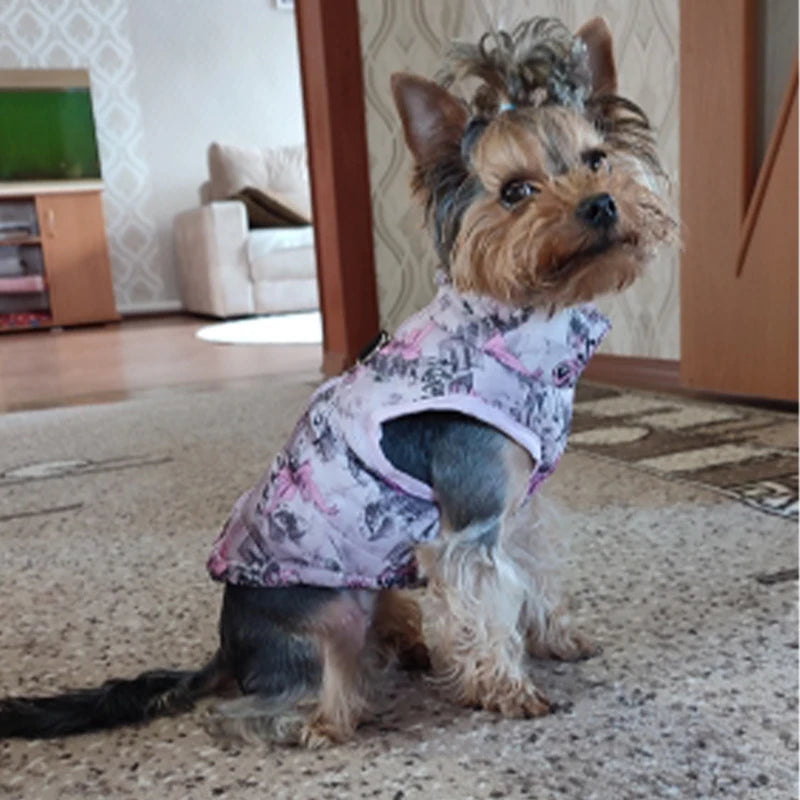 Φιλικό προς το περιβάλλον Winter Dog Warm Jacket - Small Dog & Cat Coat Comfort Pet Clothing