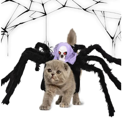 Costume Pet Toy