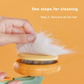 Load image into Gallery viewer, Eco-Friendly Grooming Cleaning Slicker Pumpkin Pet Brush
