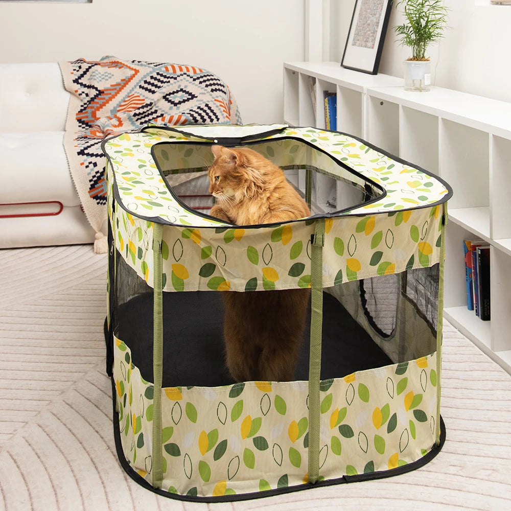 New Indoor Folding Tent Pet House