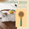 Load image into Gallery viewer, Eco-Friendly Grooming Cleaning Slicker Pumpkin Pet Brush
