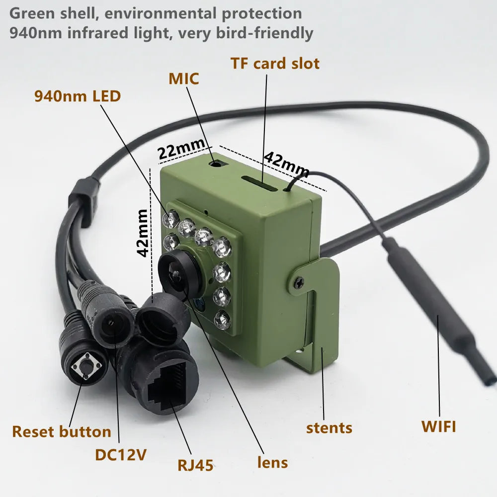 מצלמה ירוקה ידידותית לסביבה Wi-Fi תיבת ציפורים 1920P 1080P IR Cut ראיית לילה RTSP FTP Mini IP IPC קן לחיות מחמד מצלמת צפייה בציפורים