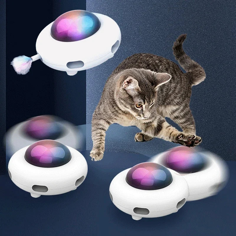 cat toys interactive