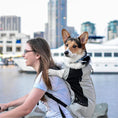 Load image into Gallery viewer, Eco-Friendly Strong Nylon Outdoor Travel High Quality Breathable Cycling Backpack Pet Carrier
